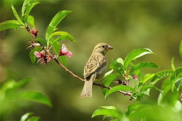 太平洋百萬醫(yī)療保險(xiǎn)怎么樣？一年多少錢？