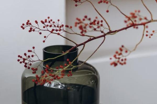 華夏福臨門(mén)吉祥如意版年金保險(xiǎn)怎么樣？值得買(mǎi)嗎？