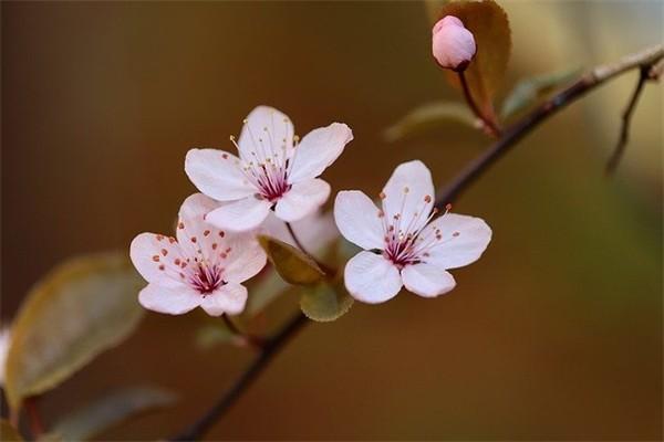失業(yè)金間隔多久可以領(lǐng)第二次？可以領(lǐng)幾個月？