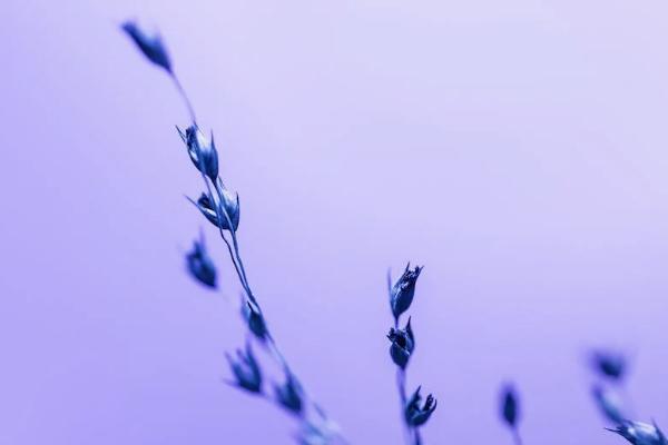 平安e生保和百萬醫(yī)療哪個(gè)好？有啥區(qū)別？