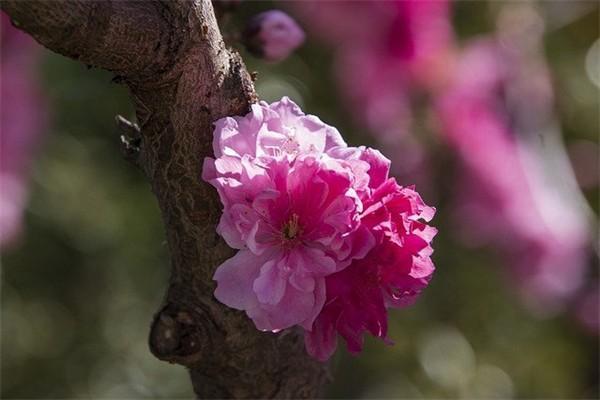 保險(xiǎn)公司資產(chǎn)規(guī)模排名前十的有哪些？哪家好？