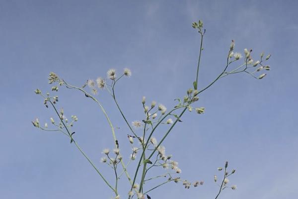 保險(xiǎn)沒退保也沒交費(fèi)會(huì)怎么樣？退保能退多少錢？