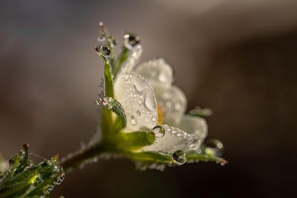 天津惠民保險怎么理賠？可以通過哪些渠道理賠？