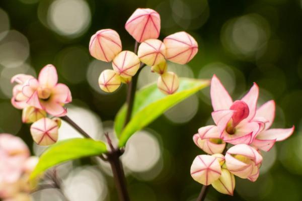 45歲交社會(huì)養(yǎng)老保險(xiǎn)劃算嗎？得交多少錢？