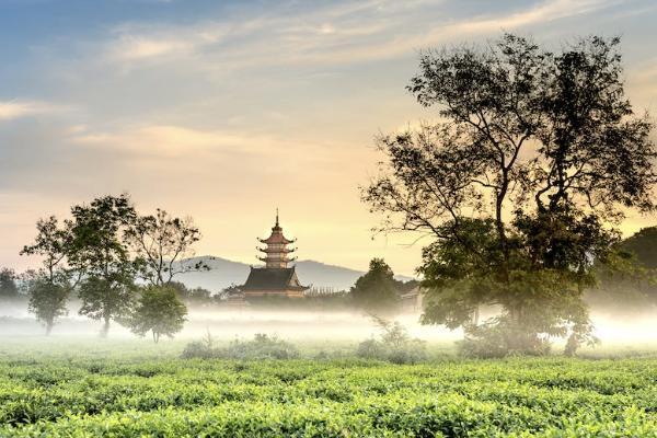如意人生養(yǎng)老年金保險投保規(guī)則如何？有哪些保障？