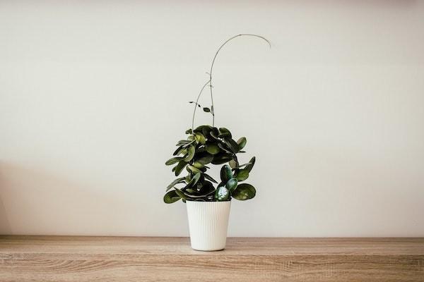 人壽保險救援電話是多少？救援免費(fèi)幾次？