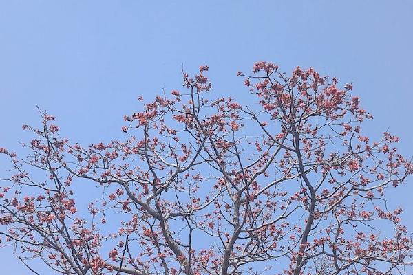 大地百萬醫(yī)療怎么樣？有必要買嗎？