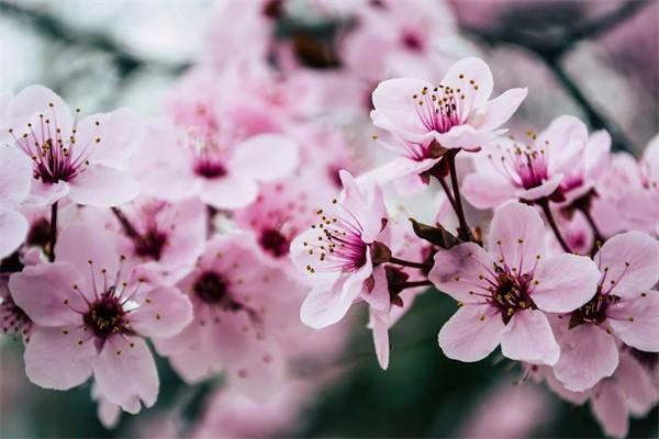 平安百萬醫(yī)療生效時間是多久？生效后可以報銷嗎？