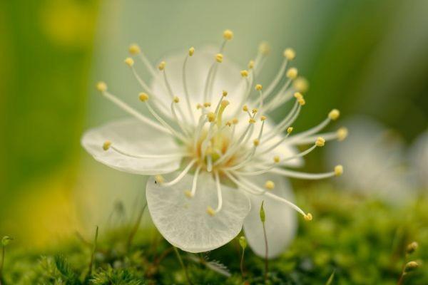 肝移植百萬醫(yī)療賠嘛？可以賠付多少錢？