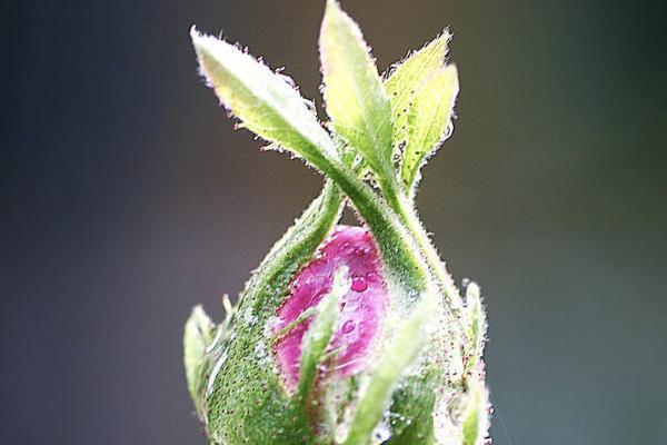 泰康幸福贏家年金保險怎么樣？能不能買？