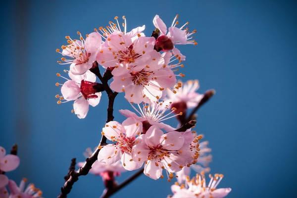 富德生命如意寶一號(hào)年金保險(xiǎn)怎么樣？保障是什么？