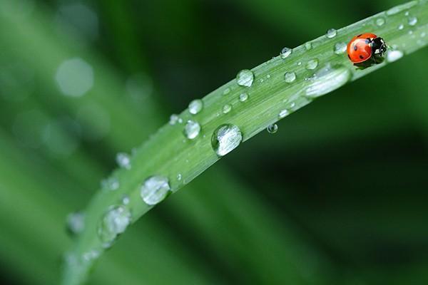 水滴健康保重疾醫(yī)療險有用嗎？含意外醫(yī)療嗎？