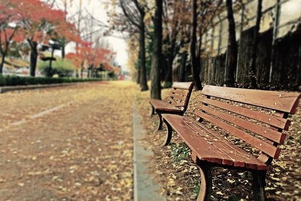 太平洋意外險查詢?nèi)绾尾樵儽危吭趺促I？