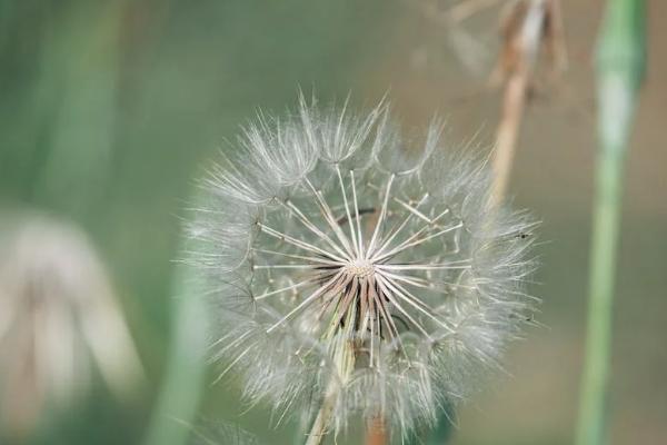 百萬醫(yī)療保險電話號碼是多少？一年要交多少保費？