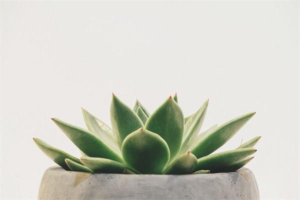 中華臻愛保險百萬醫(yī)療條款內(nèi)容有哪些？可靠嗎？