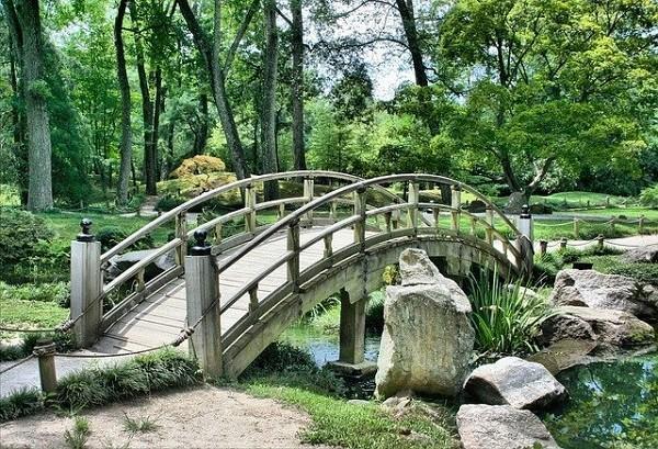 福祿康瑞2018重疾險20年后可以拿回本金嗎？值得買嗎？