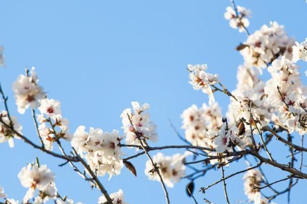 海保福佑金生年金險有什么投保規(guī)則？可以領取的錢有哪些？