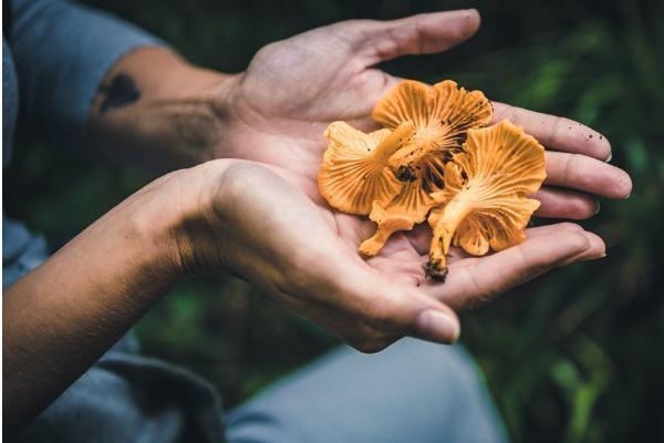 百萬醫(yī)療險如果意外身亡會理賠嗎？保障范圍有哪些？