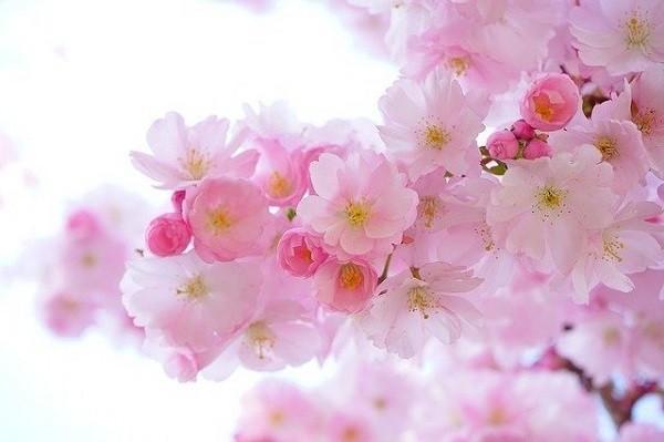 太享e保百萬(wàn)醫(yī)療險(xiǎn)怎么樣？保障什么？