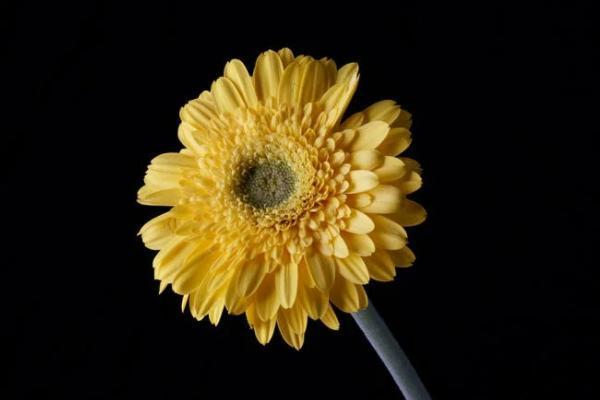 太平盈盛兩全保險b款分紅型怎么樣？保障什么？
