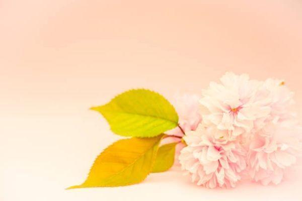 國聯(lián)盛世金生保險怎樣？投保規(guī)則有哪些？