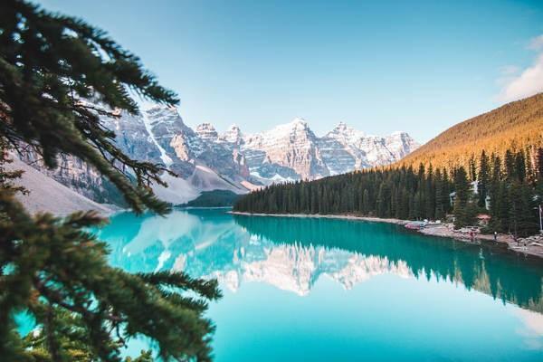 太平洋百萬醫(yī)療險保單怎么查詢？查詢要注意什么？