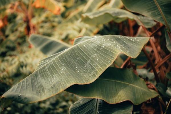 意外險骨折賠償標(biāo)準(zhǔn)一覽表是什么？賠償要注意什么？