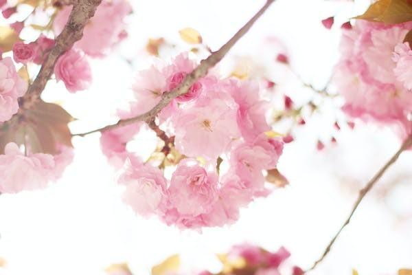 信泰千萬傳承2023終身壽險有哪些投保規(guī)則？有什么特色？