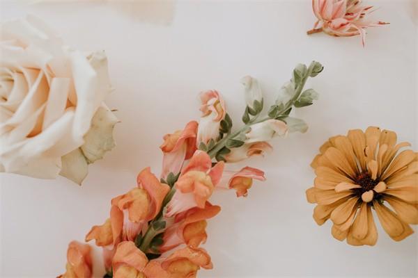 百萬醫(yī)療賠付過還能再買嘛？如何續(xù)保？