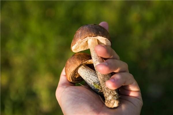 學校學生教育保險是什么？保障范圍有哪些？