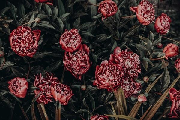 陽(yáng)光人壽金娃娃e款少兒兩全保險(xiǎn)怎么樣？靠譜嗎？