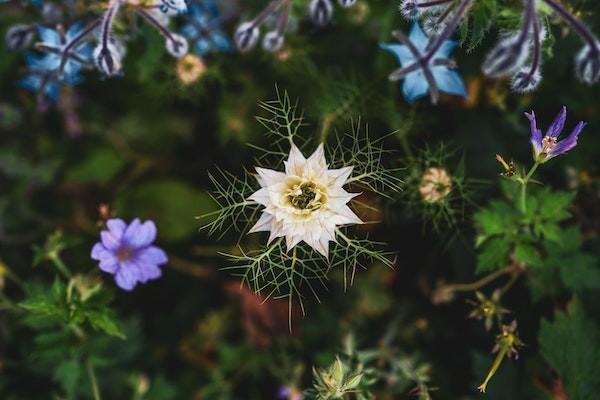 人保學生保險理賠比例是多少？理賠速度快嗎？