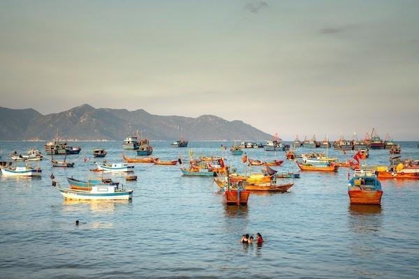 老人養(yǎng)老保險認(rèn)證怎么認(rèn)證？怎么查詢？