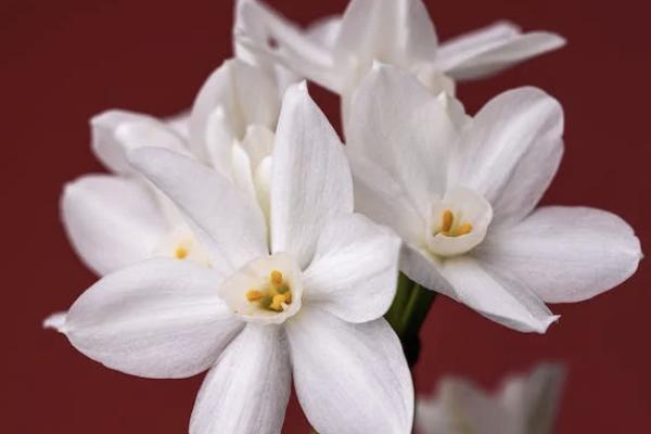 增多多3號(hào)增額終身壽險(xiǎn)下架了嗎？有什么優(yōu)點(diǎn)？