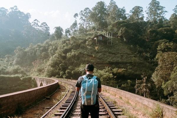 100元的意外險(xiǎn)狗咬傷能報(bào)銷嗎？能報(bào)銷多少錢？