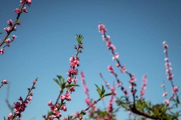 愛無憂保險保哪些疾病？有哪些優(yōu)點？