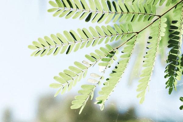 中英鑫愛永恒350萬保障靠譜嗎？有哪些投保規(guī)則？