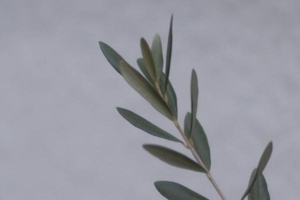 人保i無憂重疾險在哪里買？有必要買嗎？
