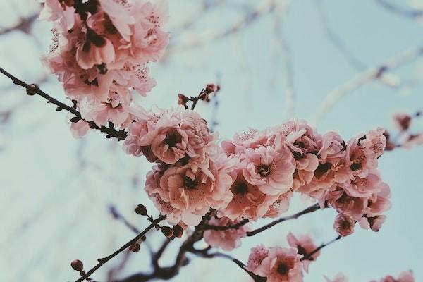 摔傷后再買意外險(xiǎn)會(huì)賠嗎？怎么報(bào)銷？