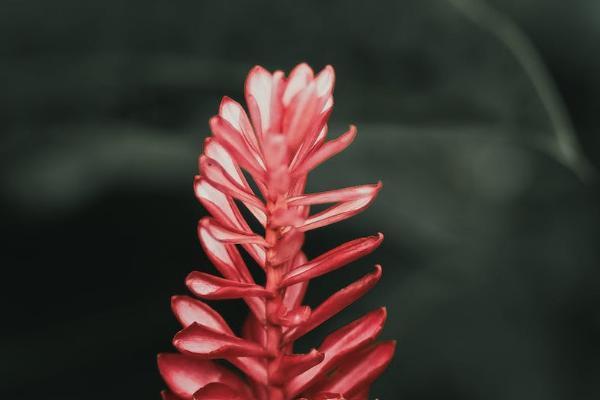 樂享無憂保險怎么樣？保什么？