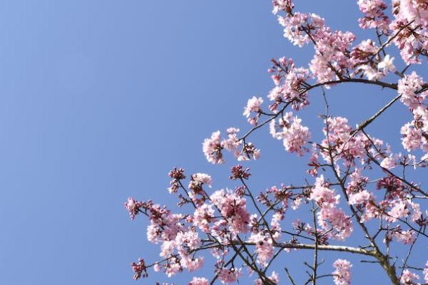 康瑞人生重疾險(xiǎn)缺少的高發(fā)癥有哪些？保障好不好？