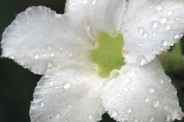橫琴人壽重疾險(xiǎn)有哪些？在哪里可以買？