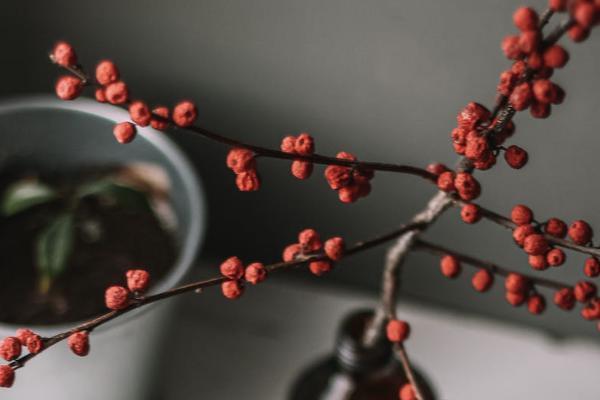 和泰光武7號重疾險表現如何？有哪些保障？