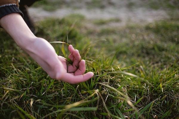 學校購買意外險在校外發(fā)生意外怎么賠償？一年多少錢？