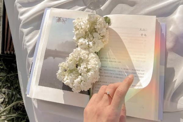 和泰人壽樂享無憂重疾保險(xiǎn)有哪些投保的規(guī)定？可以提供哪些保障？