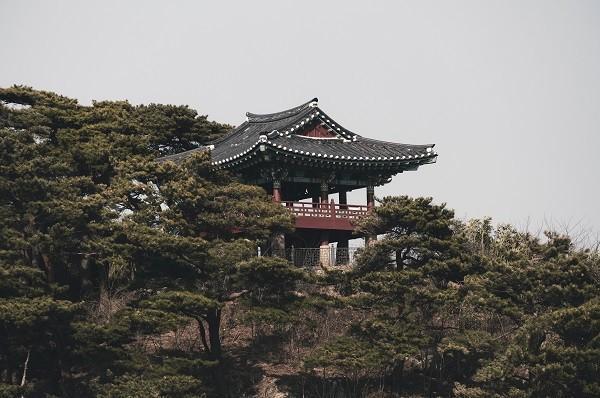 中國人壽重疾險交20后可以把錢拿出來嗎？投保方式有哪些呢？