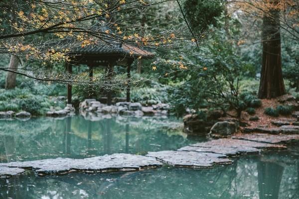 農(nóng)合意外險賠償標準是什么？怎么賠償？