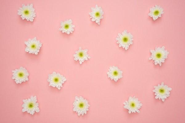 陽光人壽臻愛倍致終身壽險三年有哪些投保規(guī)則？多久能夠回本？