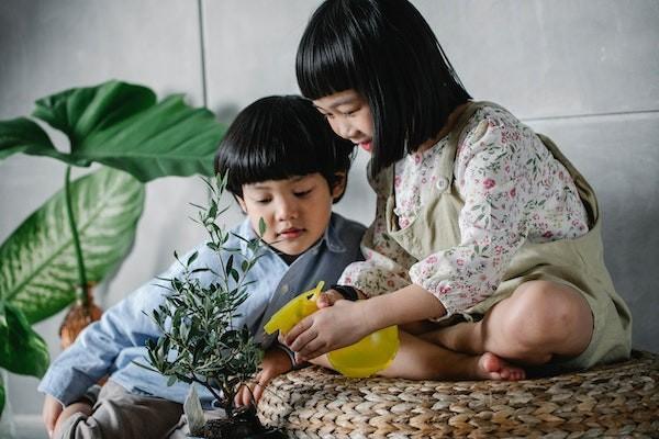 中國人壽少兒一生幸?；榧藿鹪趺礃?？值得買嗎？