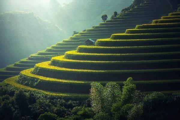 城鄉(xiāng)居民養(yǎng)老保險從幾歲開始交？幾月份交費？